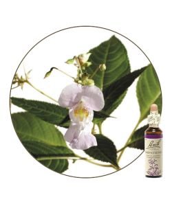 Impatiens - Impatiens (n°18), 20 ml